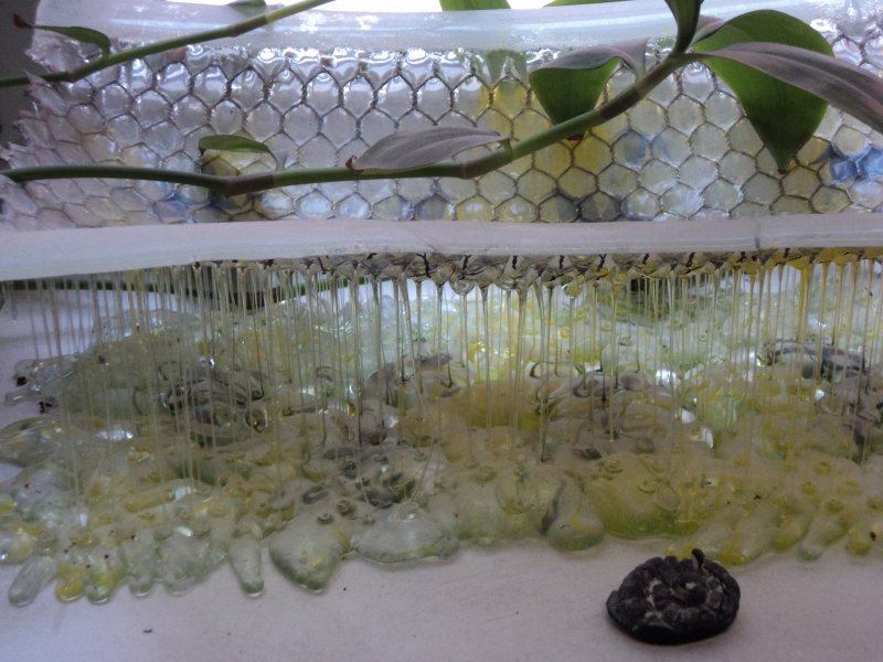 project_meeting_sofia_2017