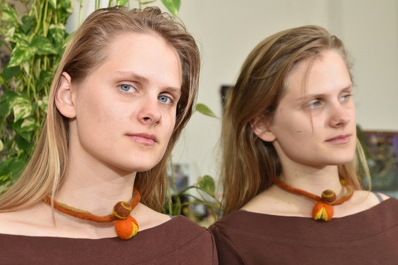 Students_exchange_sofia_2017